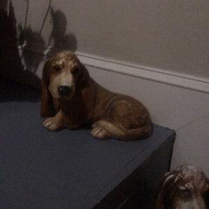 Meet your Posher, Oliver